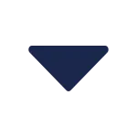 Alt Arrow Down SVG Icon